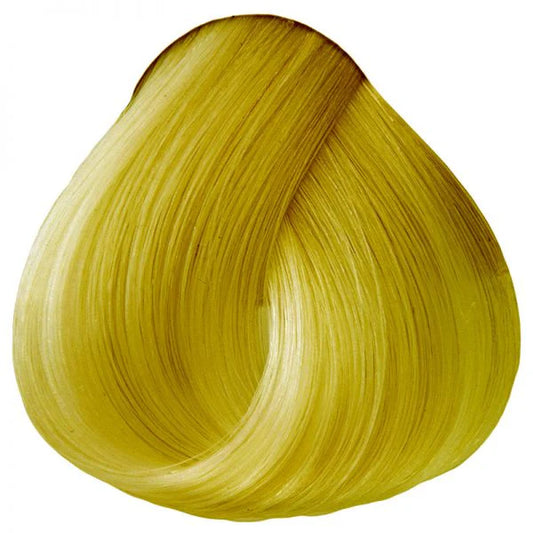 OYA SUNFLOWER WILD DIRECT DYE