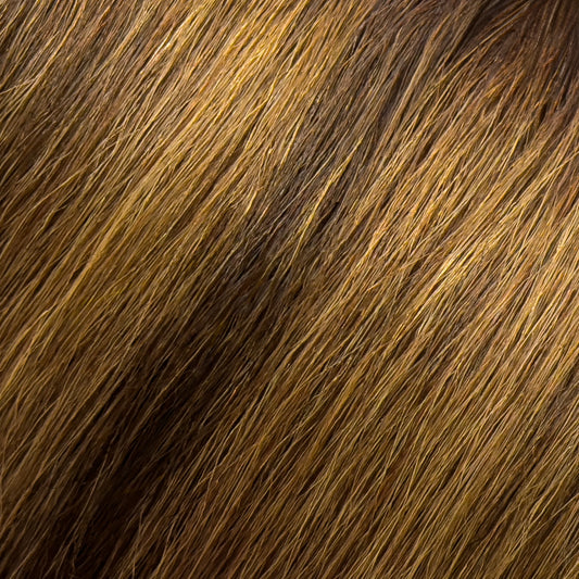 BABE Hybrid #6-6/30/10 Lizzie 18.5” (SPECIALTY) Hair Extensions
