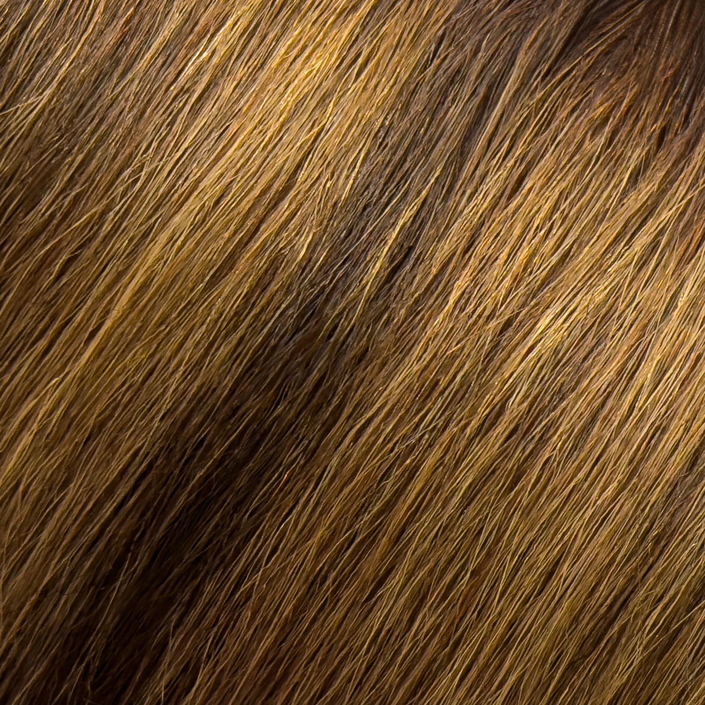 BABE Hybrid #8-8/12-600 Lizzie 22.5” (SPECIALTY) Hair Extensions